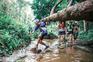 BIB: 
                            <button type="button" onclick="openModal(25374423)" class="btn btn-primary btn-sm float-right btn-popup" data-toggle="modal" data-target=".modal-high-quality">
                        <i class="fas fa-shopping-cart"></i> Add to Cart
                    </button>
                                            <button type="button" onclick="isThisMe(25374423, true)" class="btn btn-success btn-sm float-right btn-popup btn-isme hidden" data-toggle="tooltip" data-placement="bottom" title="นี่คือรูปของคุณใช่ไหม คลิกที่นี่เพื่อเอาเข้าอัลบั้ม">
                        <i class="fas fa-plus"></i> Add to album
                    </button>
                    <button type="button" onclick="isThisMe(25374423, false)" class="btn btn-warning btn-sm float-right btn-popup btn-isnotme hidden">
                        <i class="fas fa-ban"></i> Remove from album
                    </button>